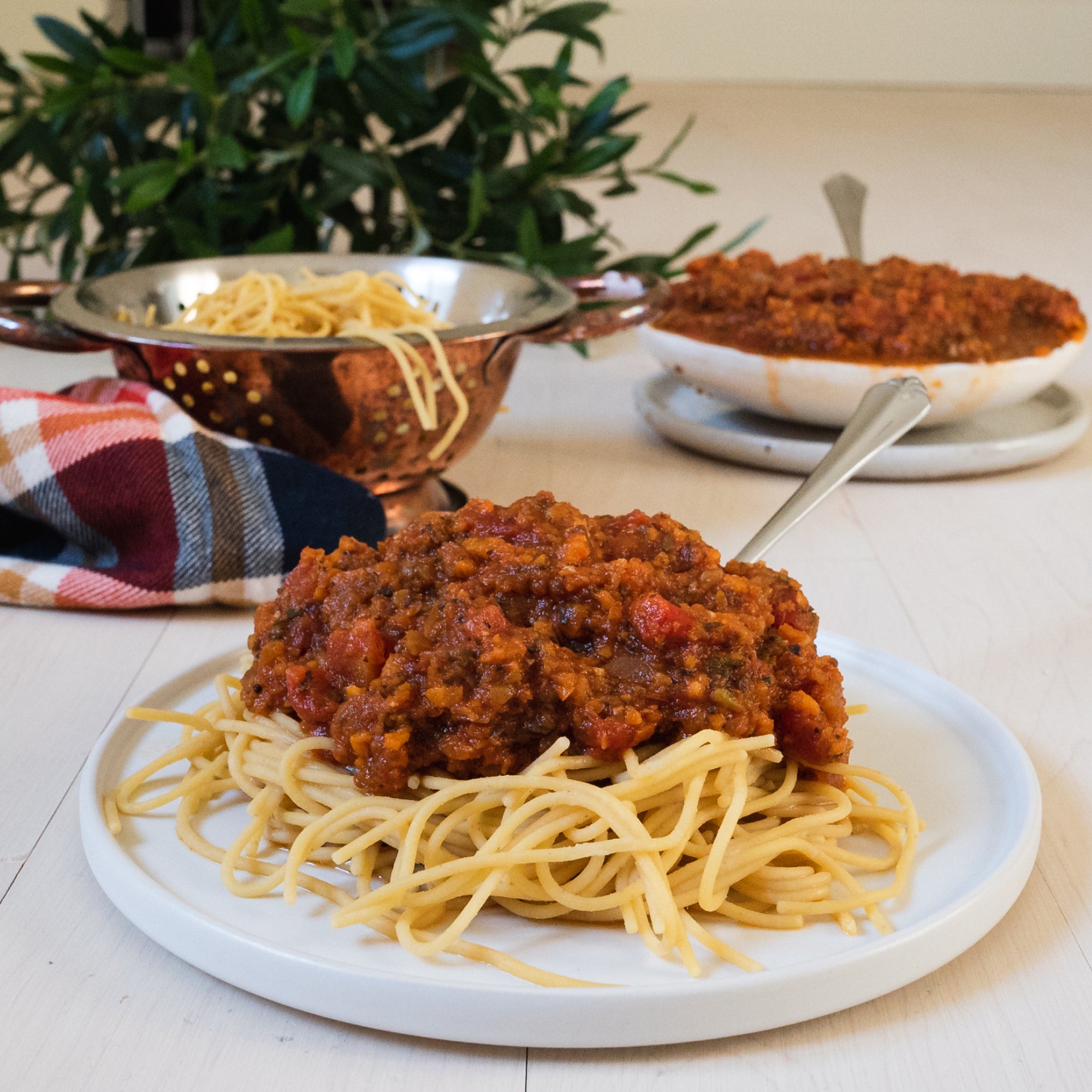 Loaded Vegetable Family-Friendly Spaghetti Recipe – Chickapea